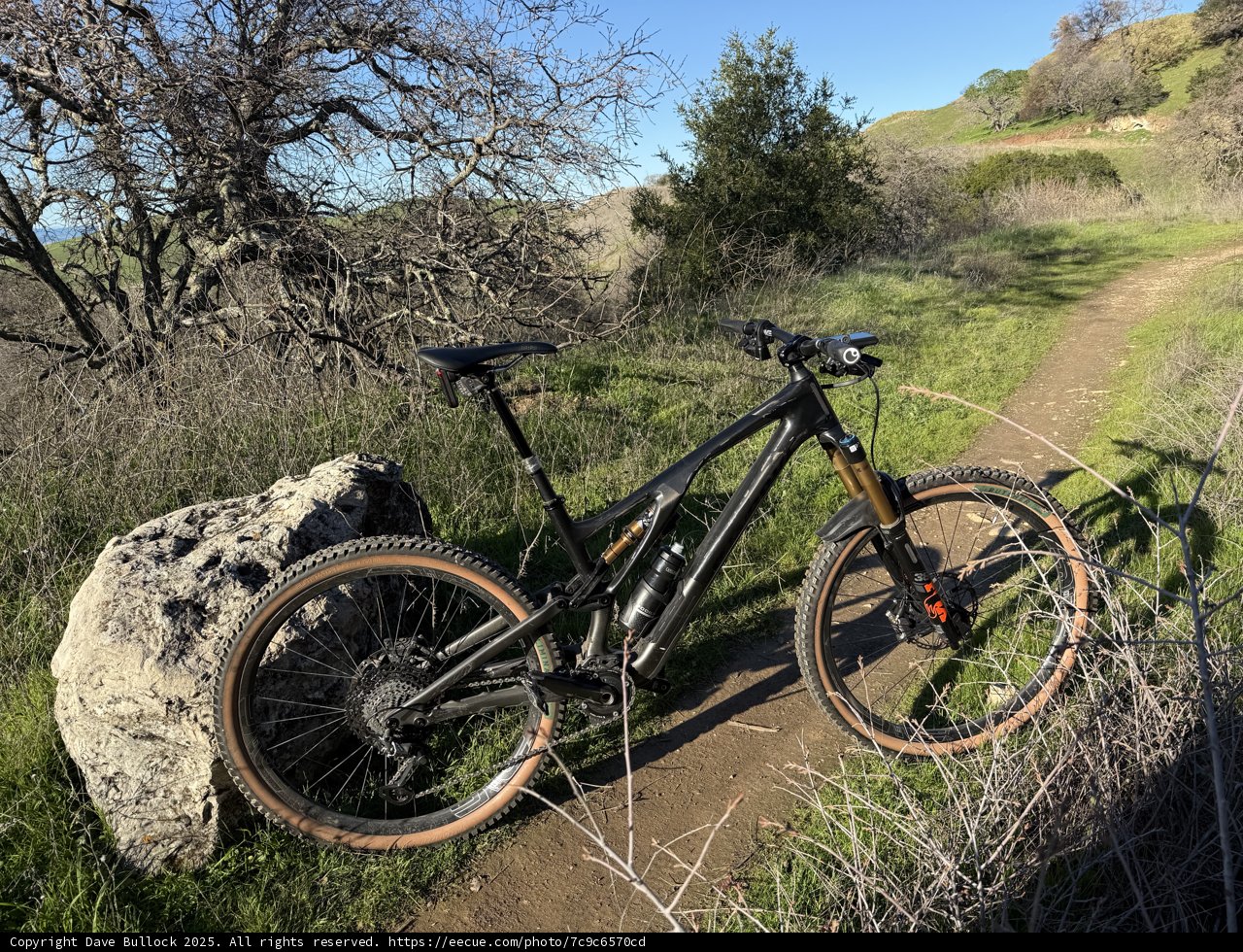 Trailside Pause