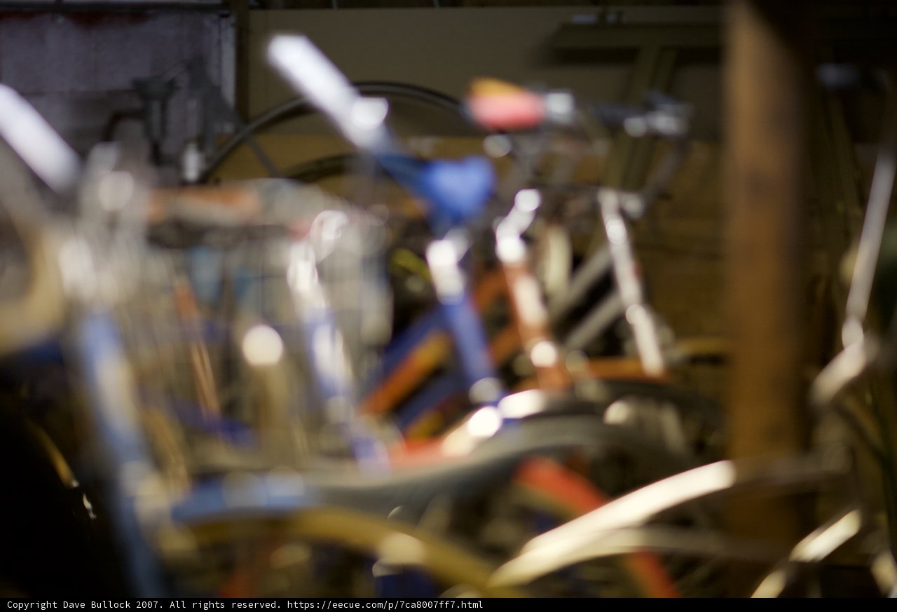 Bikes Lined Up and Ready to Ride