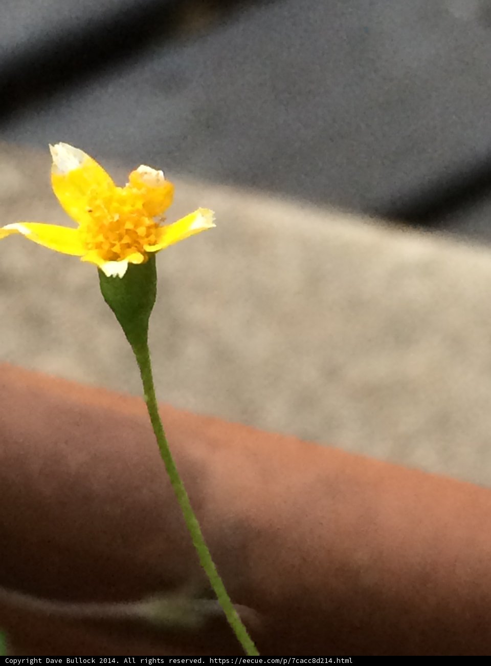 Beauty in Unexpected Places