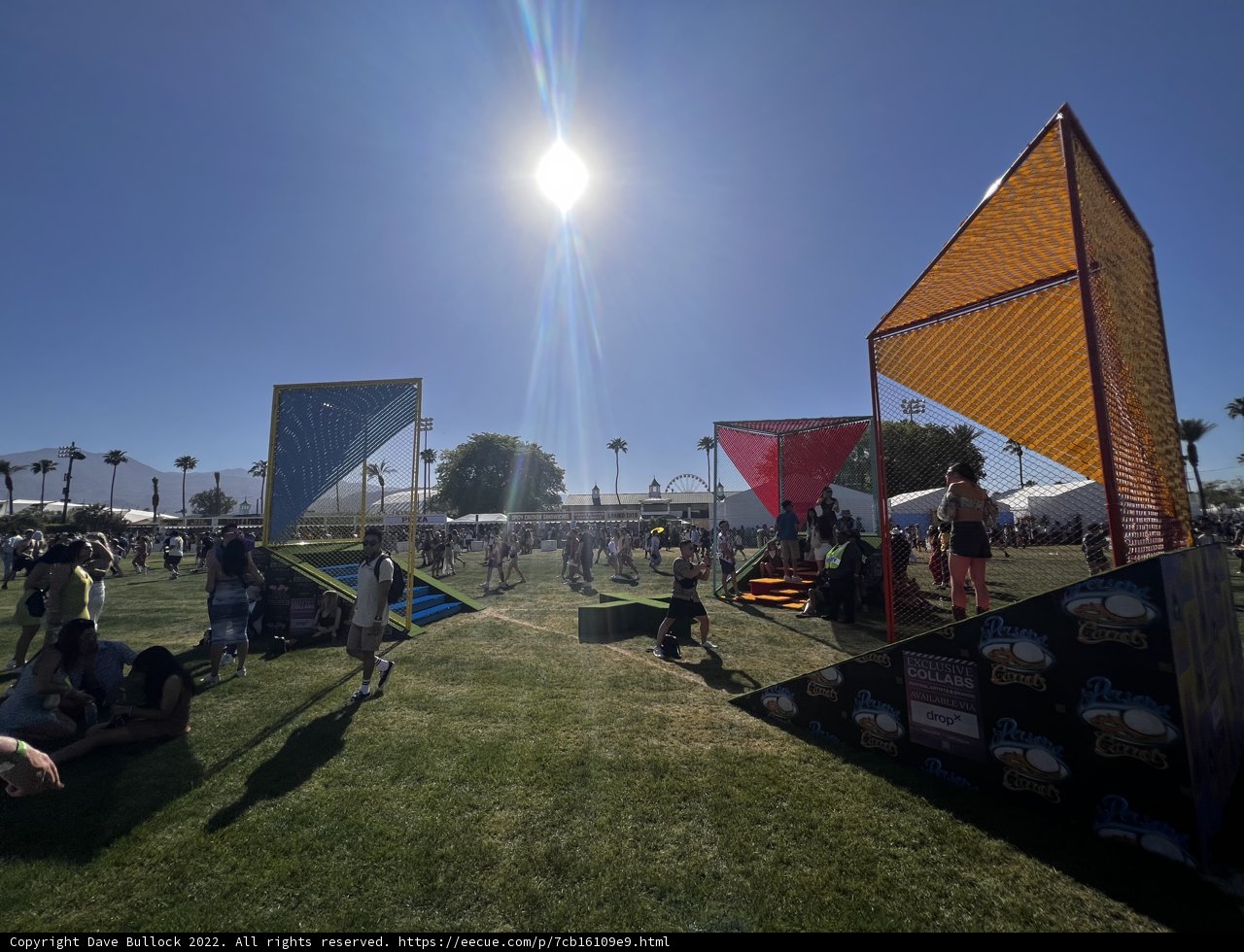 Festival Fun on the Grass