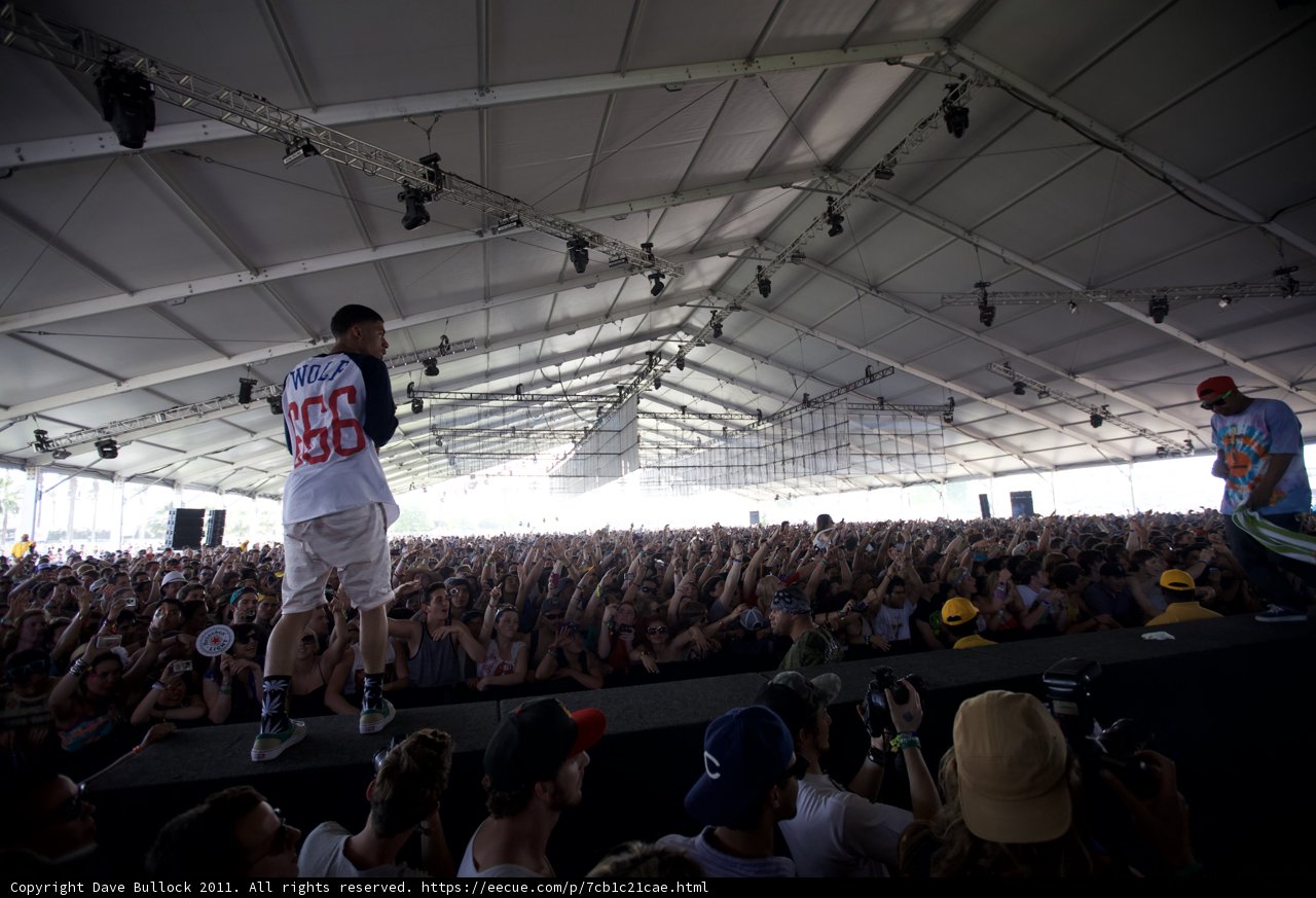 Concert Crowd at Coachella 2011