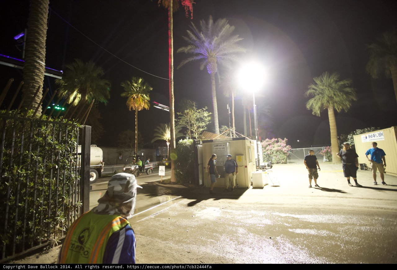 A man and his palm tree companion
