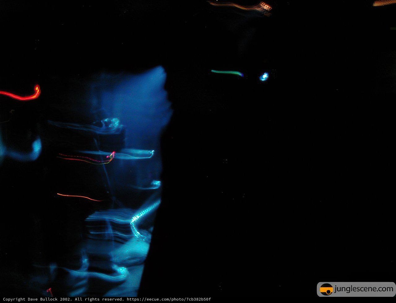 Nighttime Aquarium Club