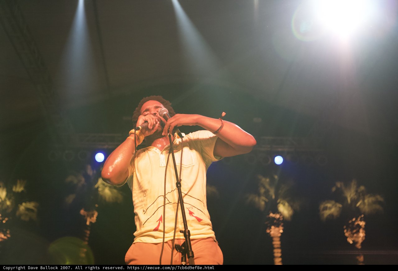 Spotlight on the Solo Performer