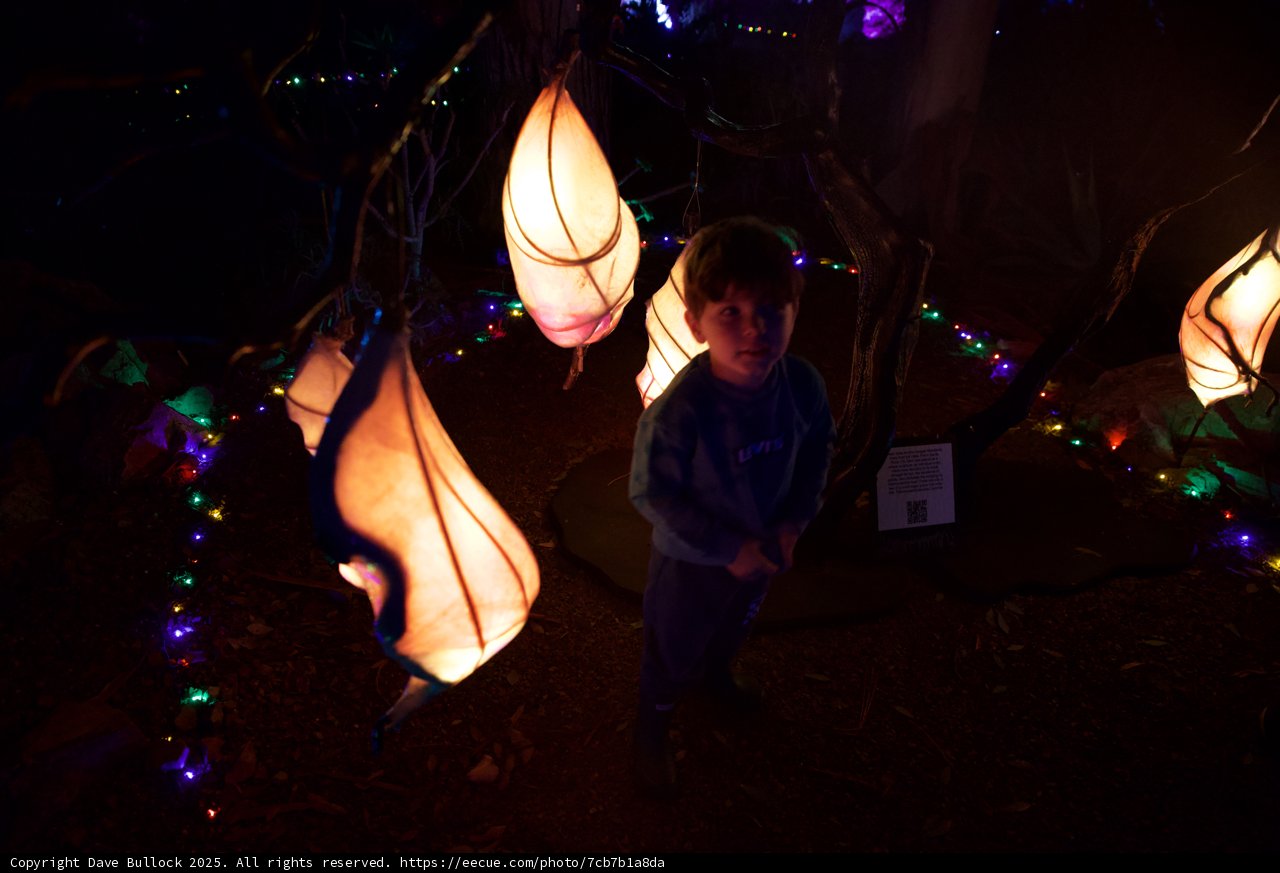 Enchanted Evening at the Garden of D'Lights