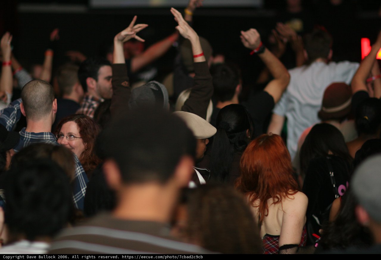 Electrifying Concert Crowd