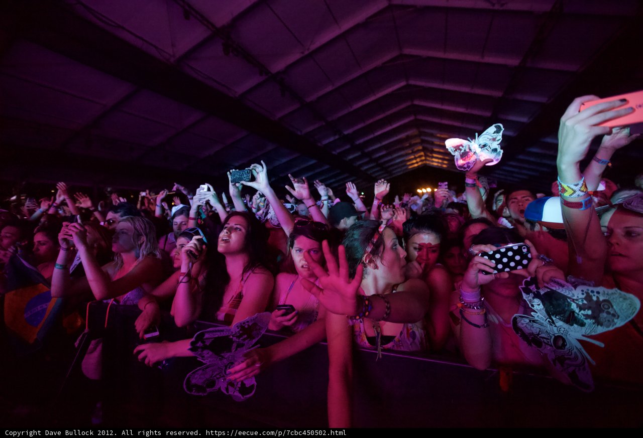 Coachella 2012: Saturday Night Concert Crowd Goes Wild