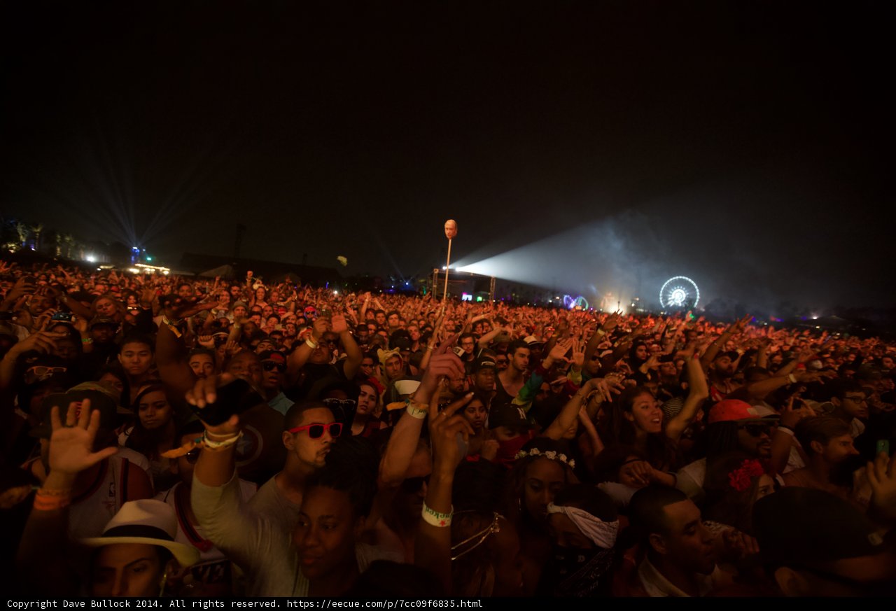 Rocking Out Under the Night Sky