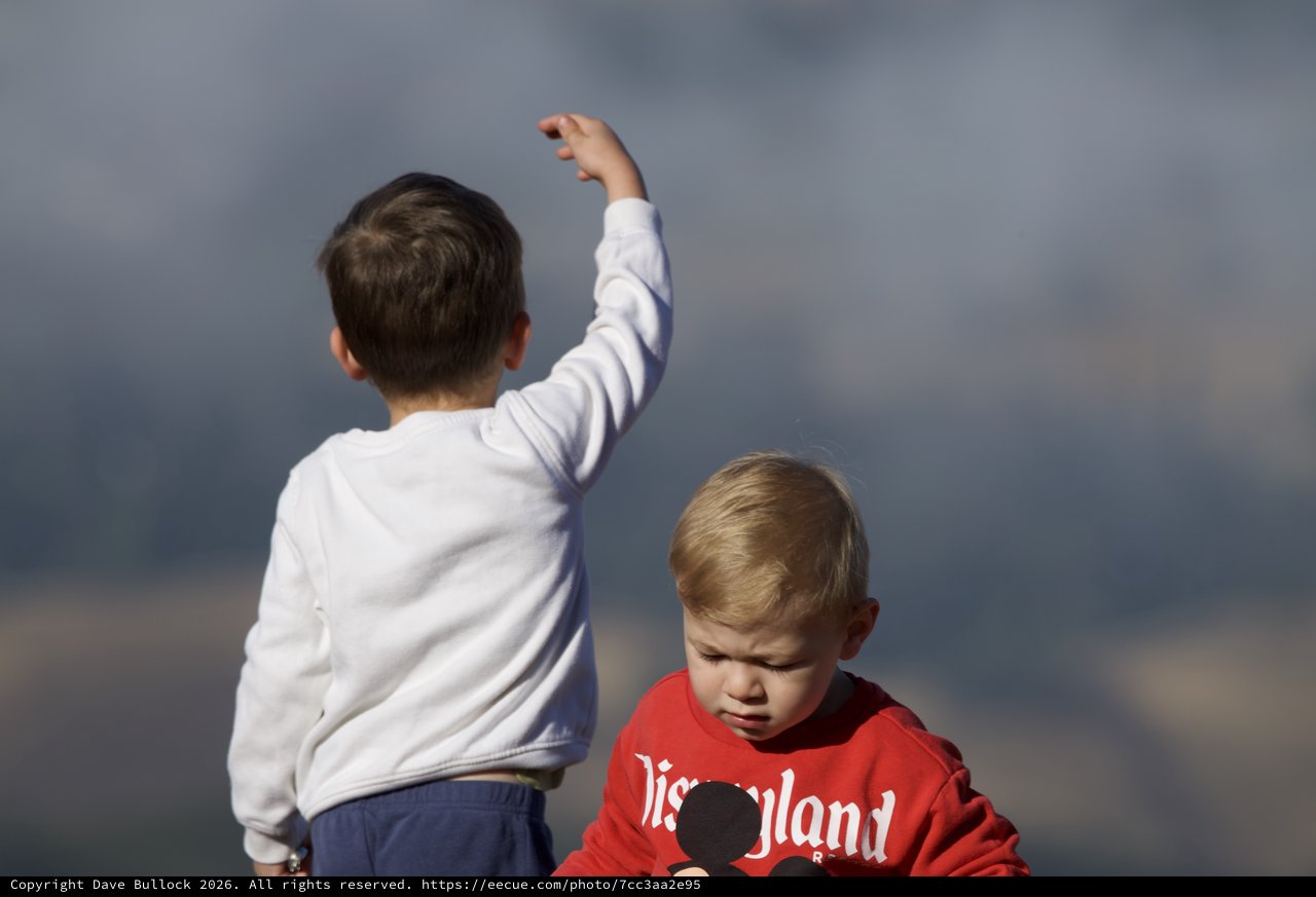Two Young Boys Exploring the Windy Hilltop Together