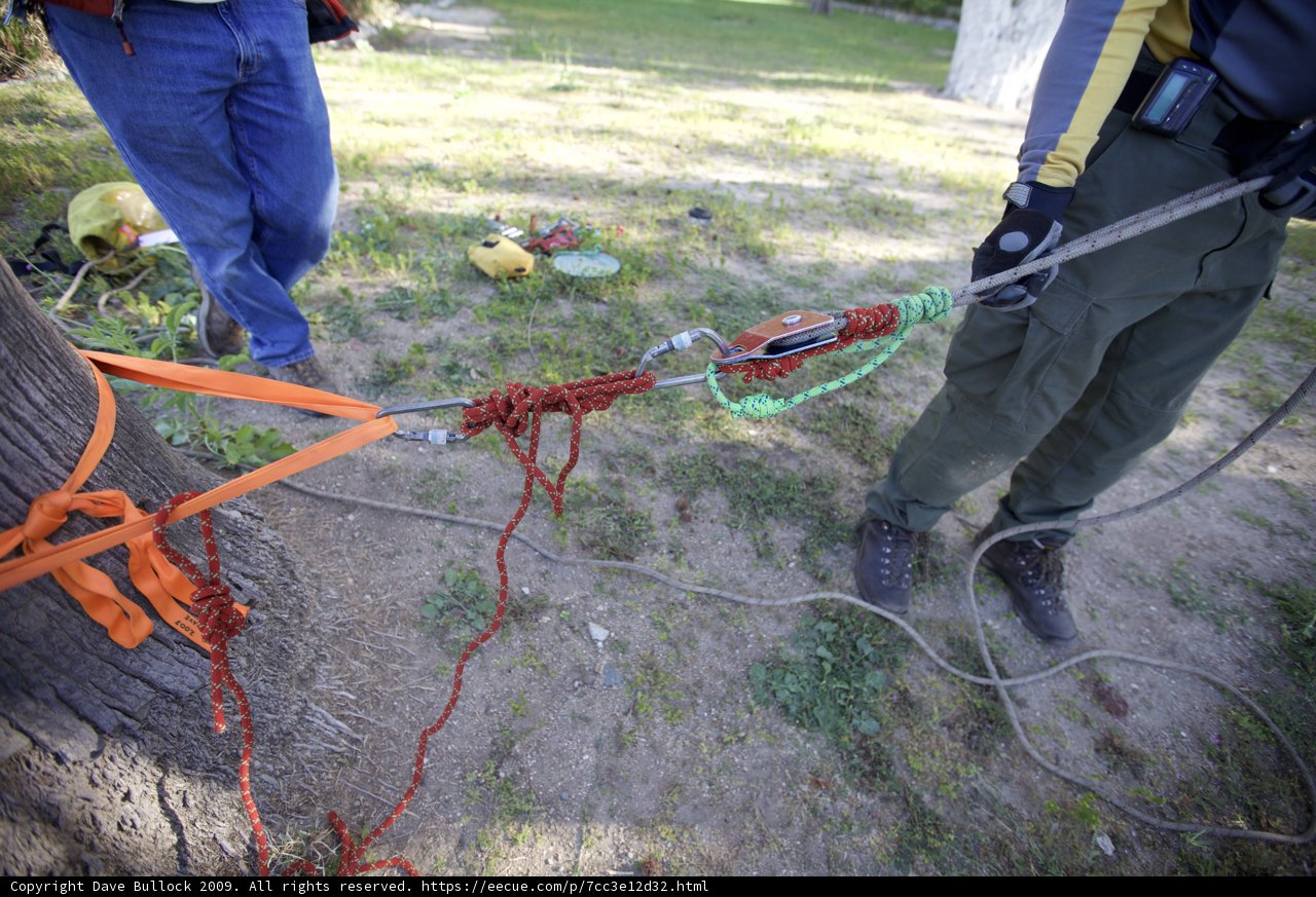 Rope tethering to tree