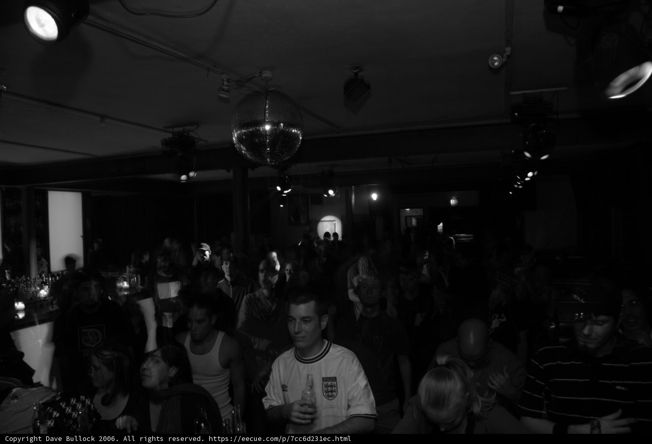 Nightlife Crowd at Disco-themed Party