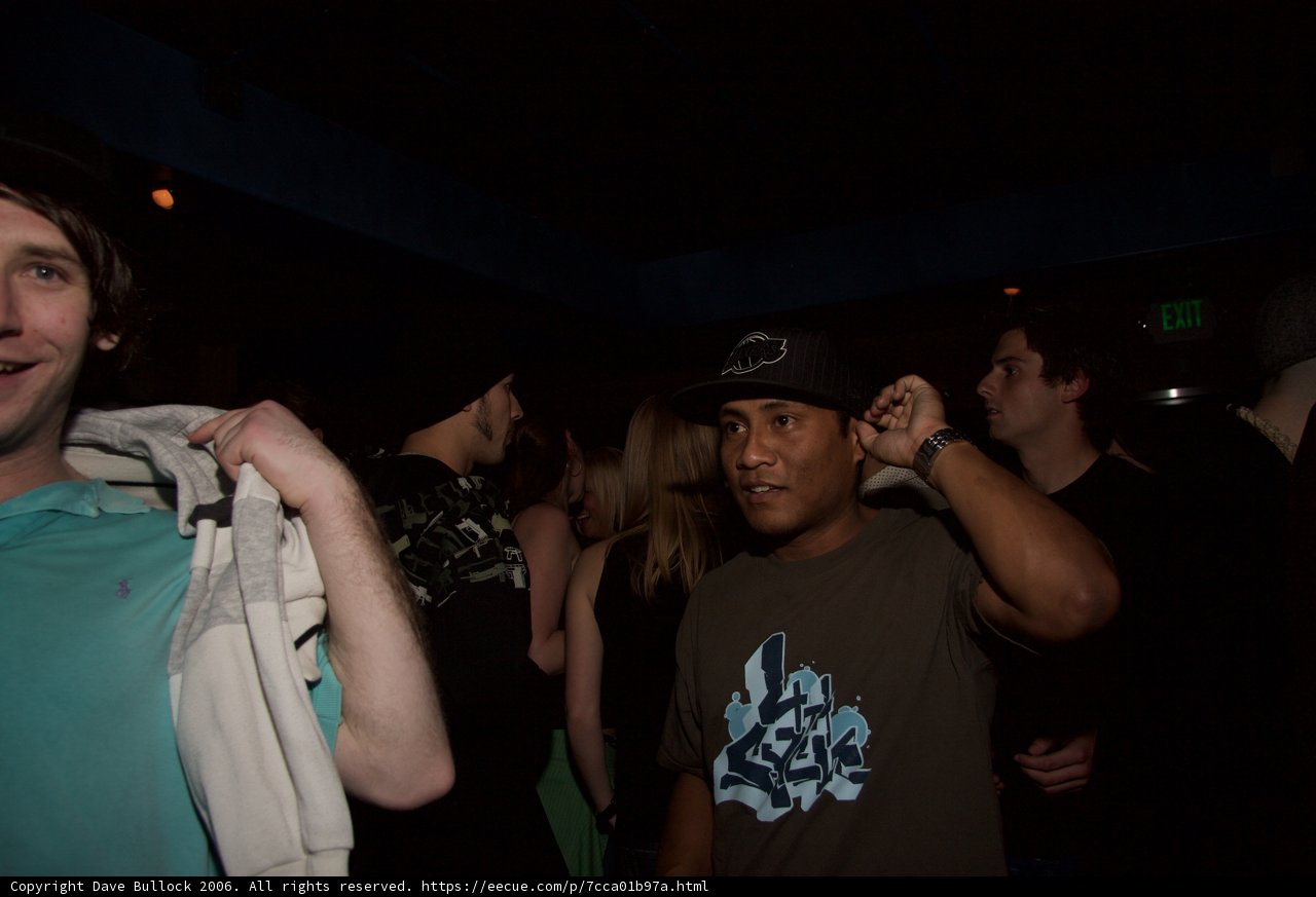 Nightclub Fun with a Group of Friends