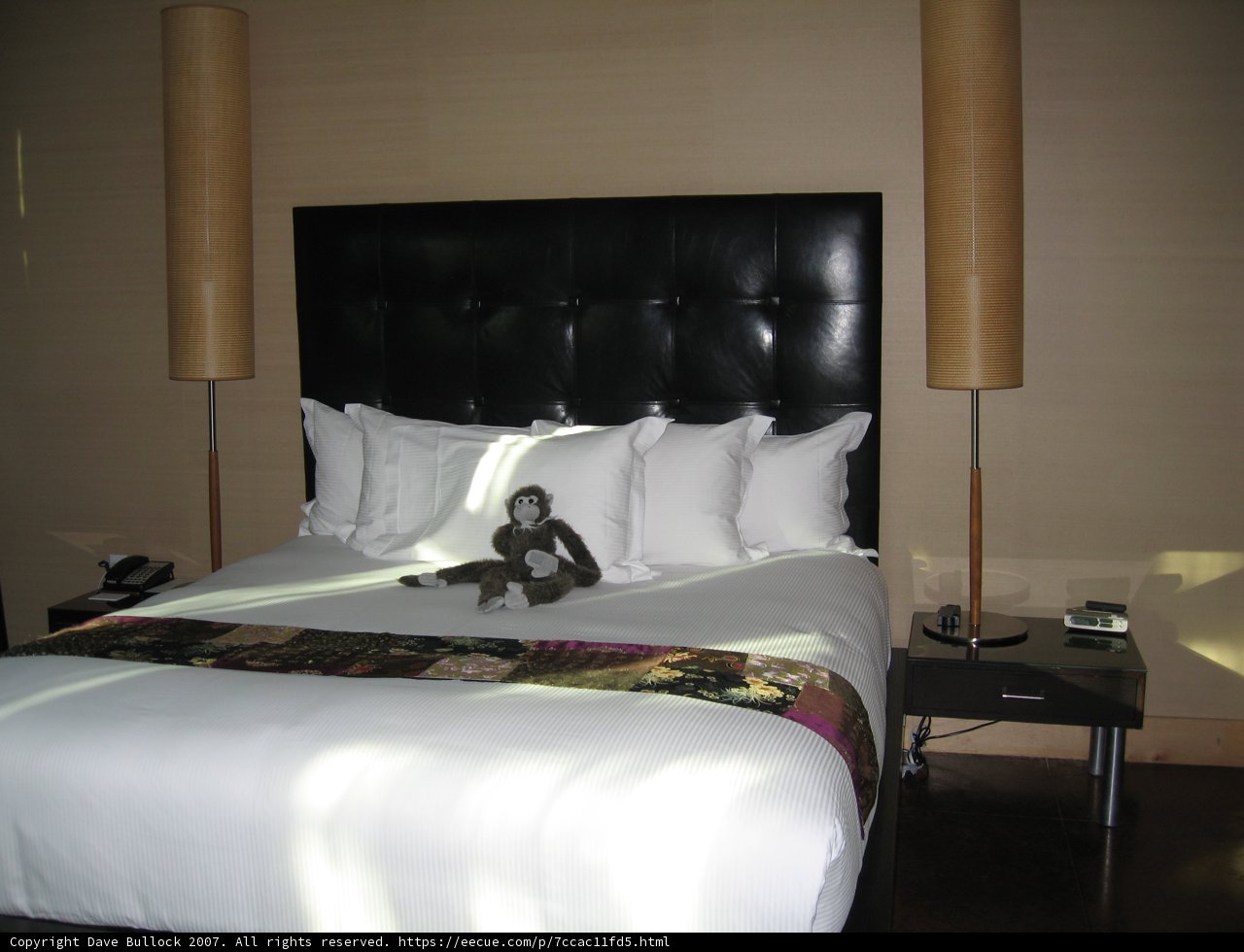 Monkeying Around in the Bedroom