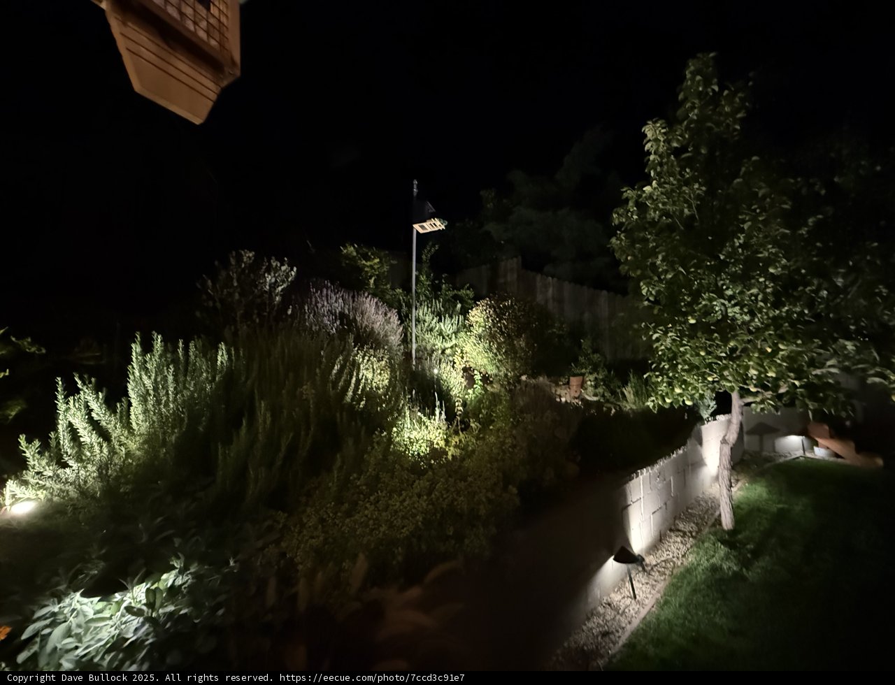 Nocturnal Garden Glow