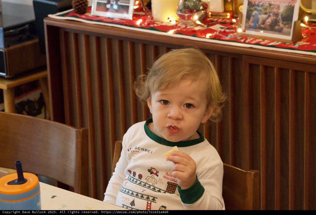 Toddler Enjoying Christmas Cookie in Festive Pajamas