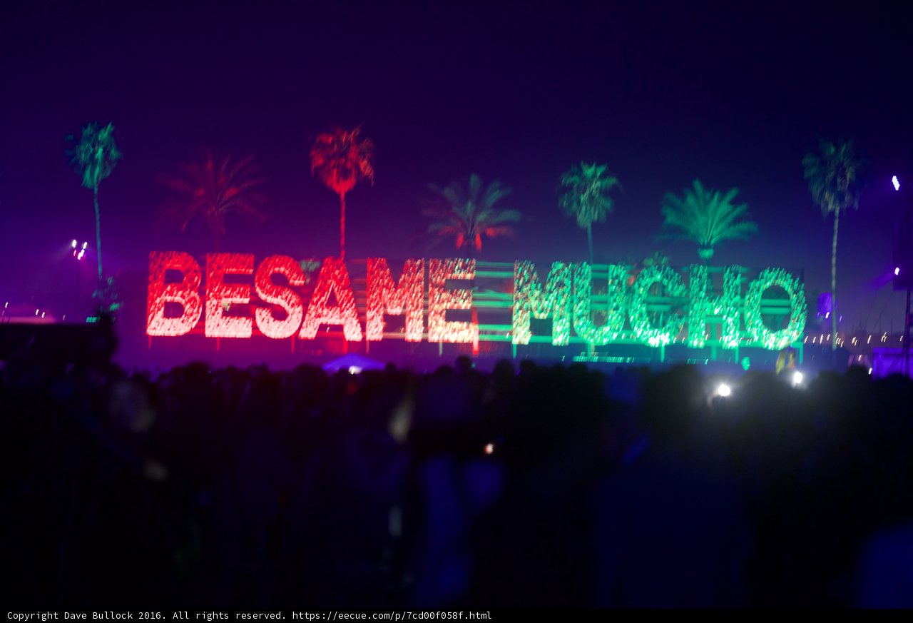Bamse Micho Takes Coachella by Neon Storm