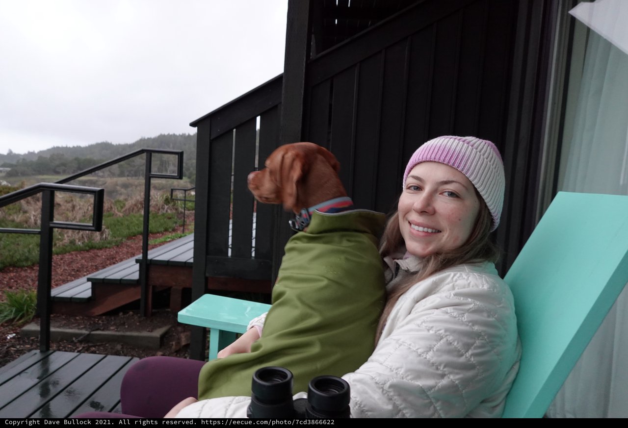 Cozy Outdoor Moment with Dog on Deck