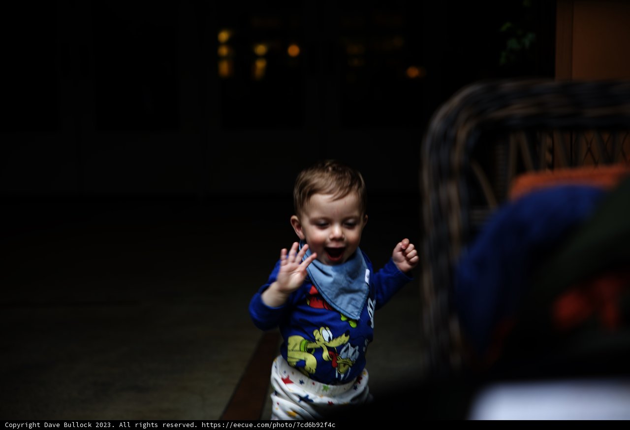 Pure Joy at Disneyland