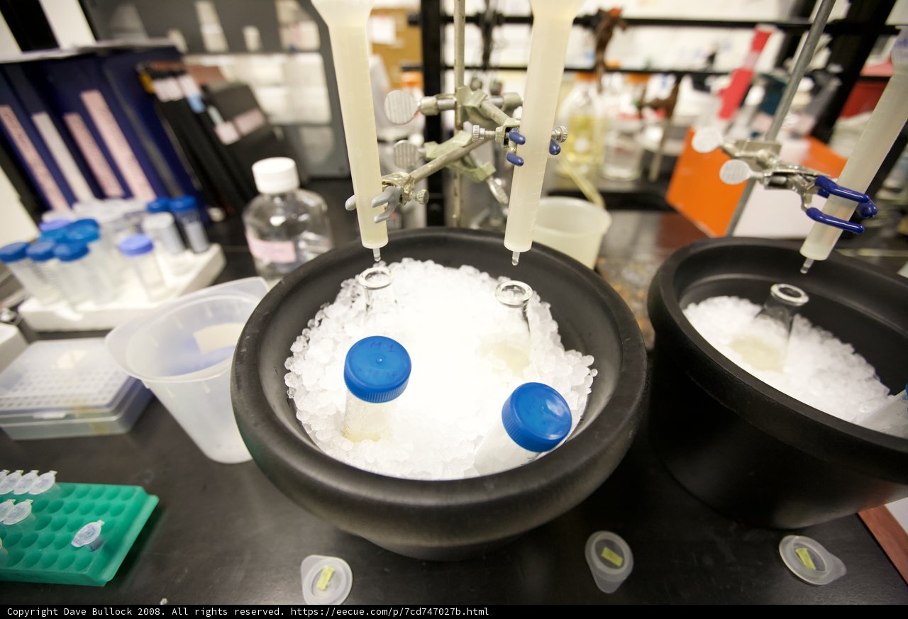 Cooling Off in the Lab