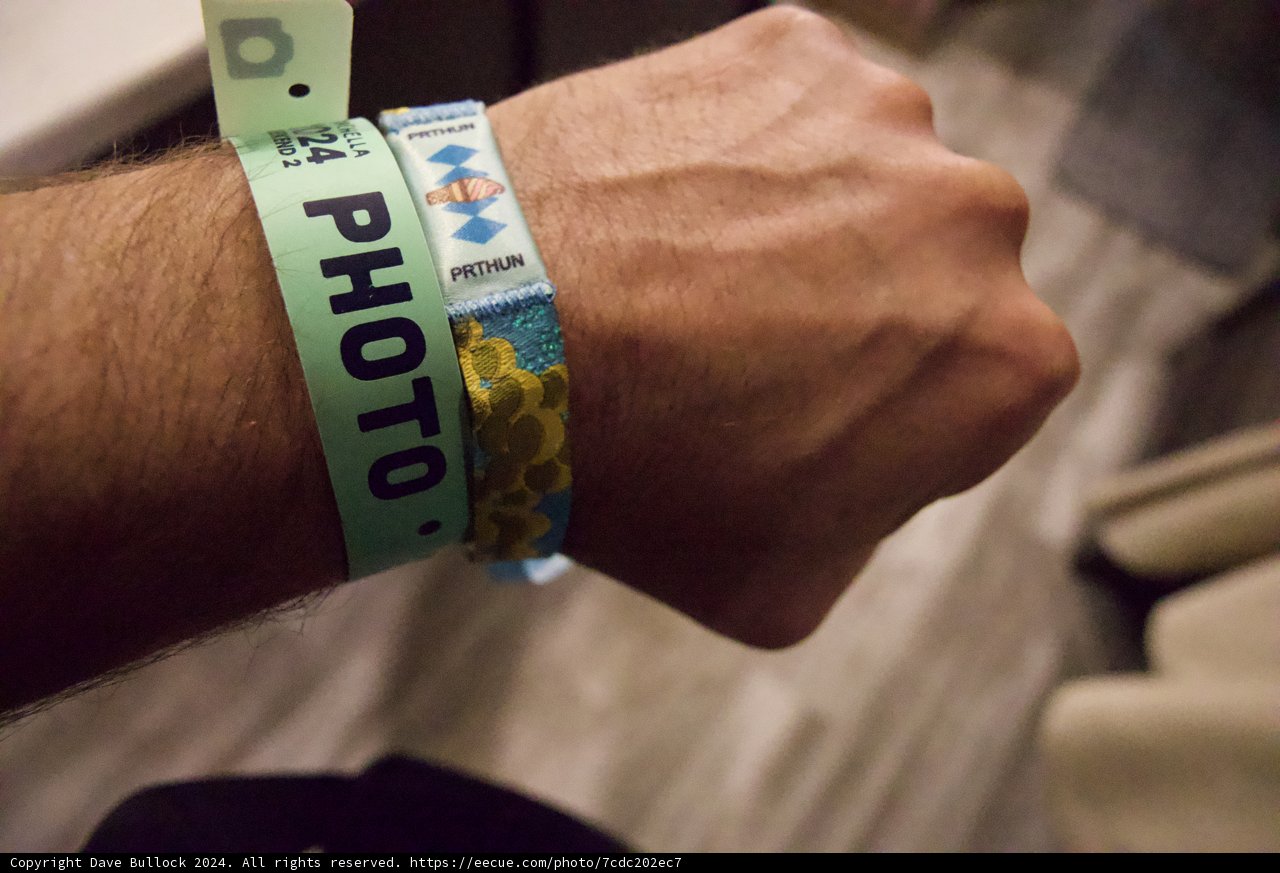 Access All Areas: Coachella 2024