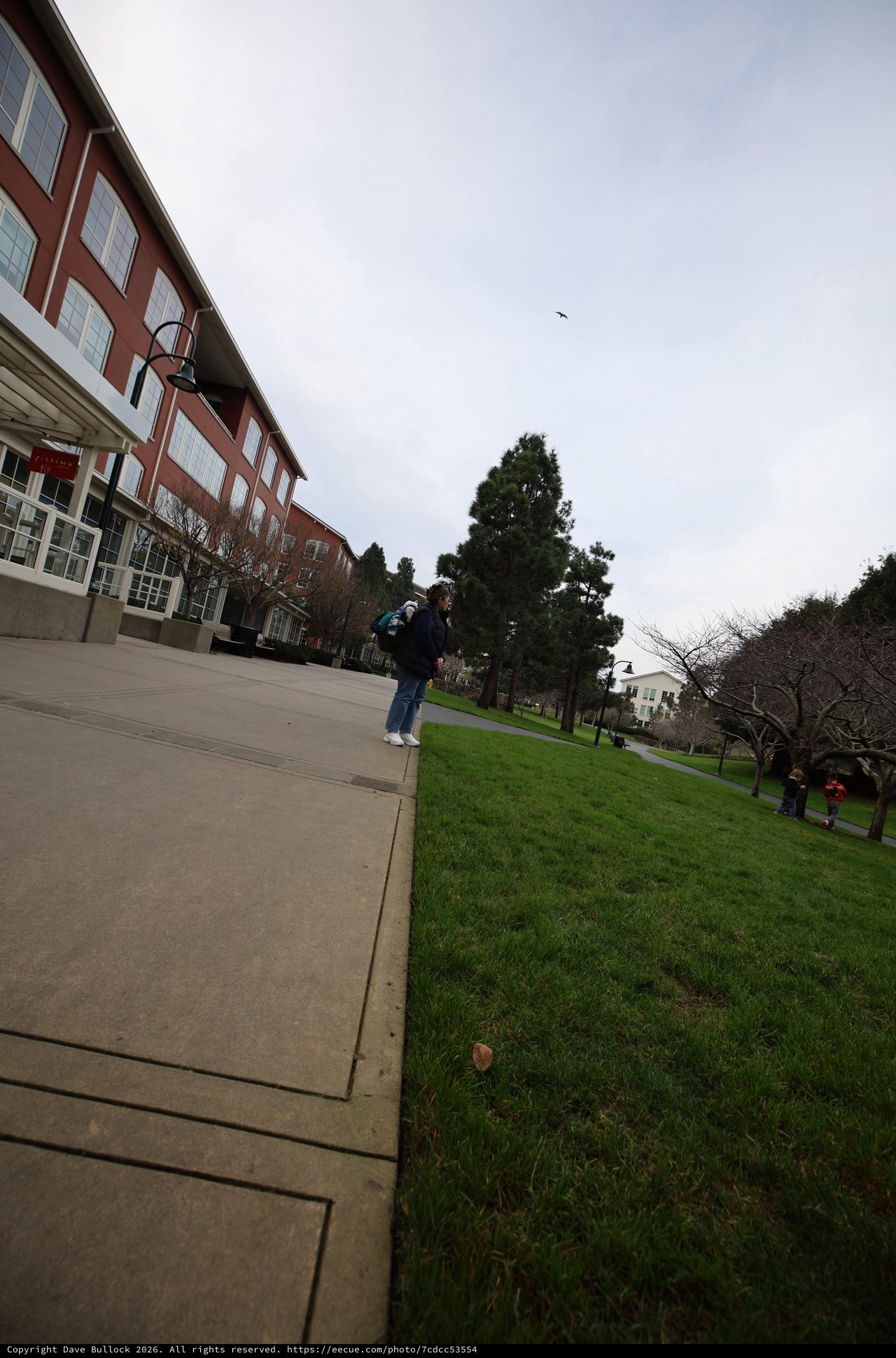 Overcast Day on Campus Walkway