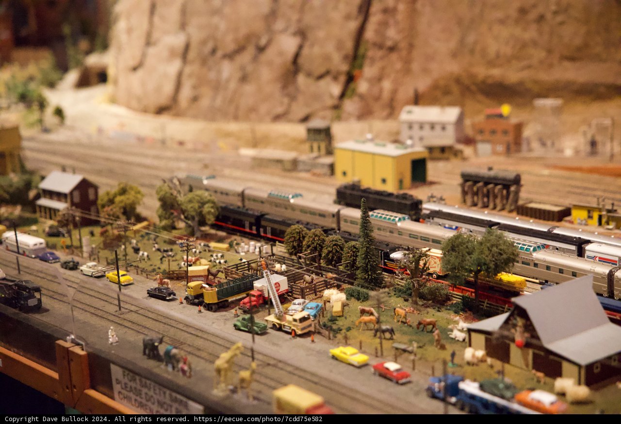 Miniature Tranquility: A Railroad Society Reverie