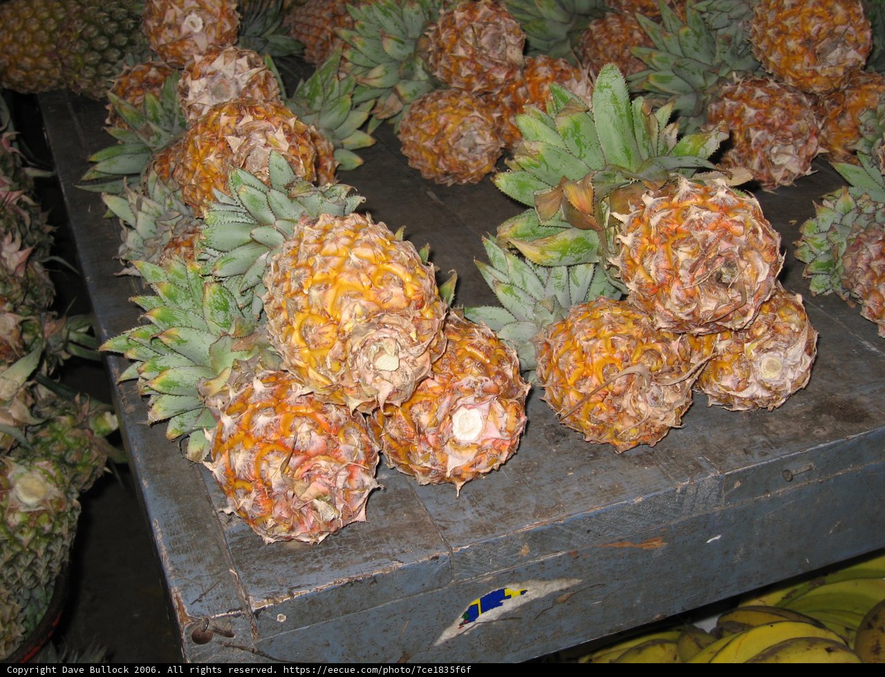 Pineapple Feast