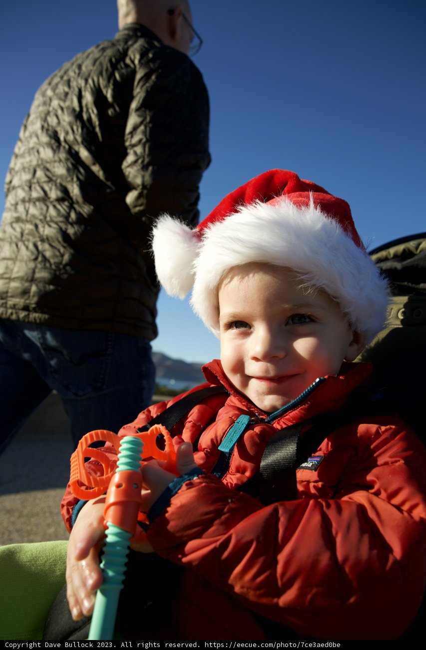 Santa's Little Helper in Skyela SF View, 2023!