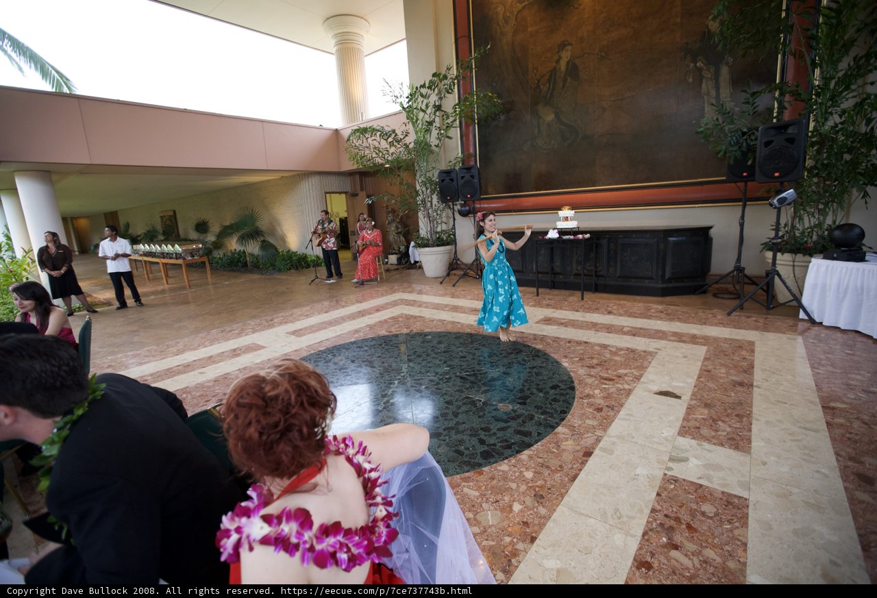 A Wedding Party in Blue
