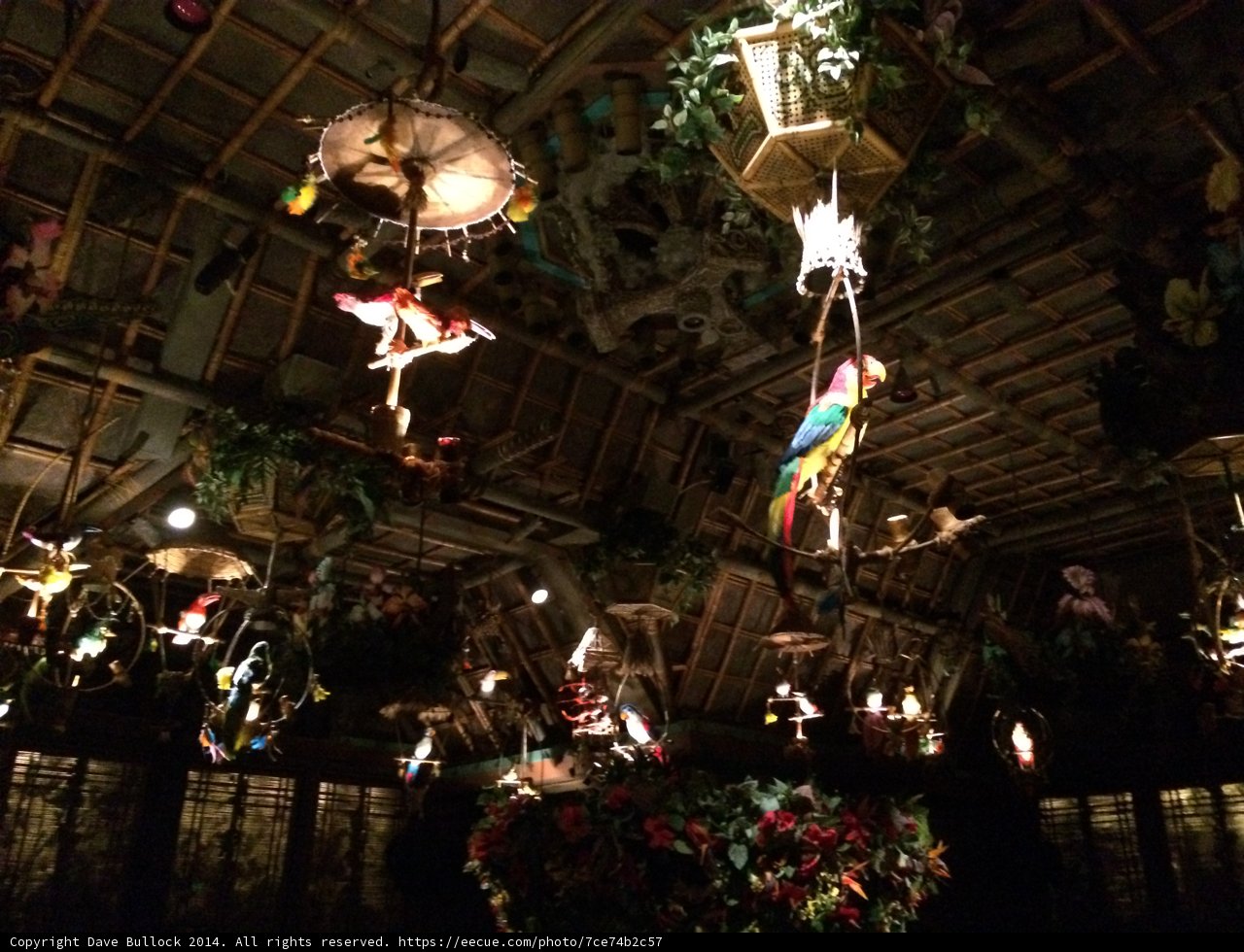 Twinkling Wonderland