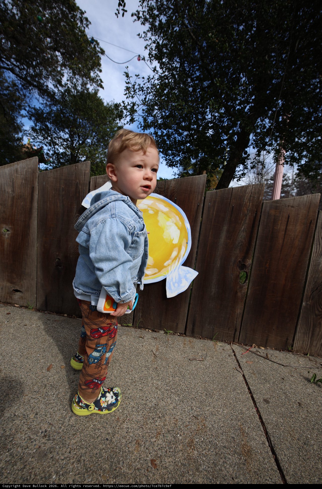 Toddler in Fish Costume Poses in Backyard