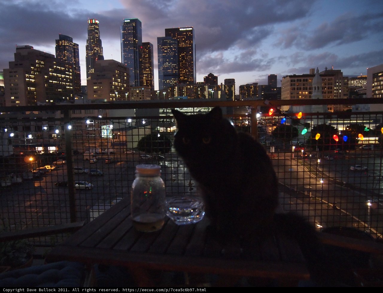 Feline Watchtower