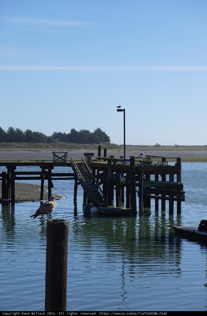 Serene Waterfront Scene