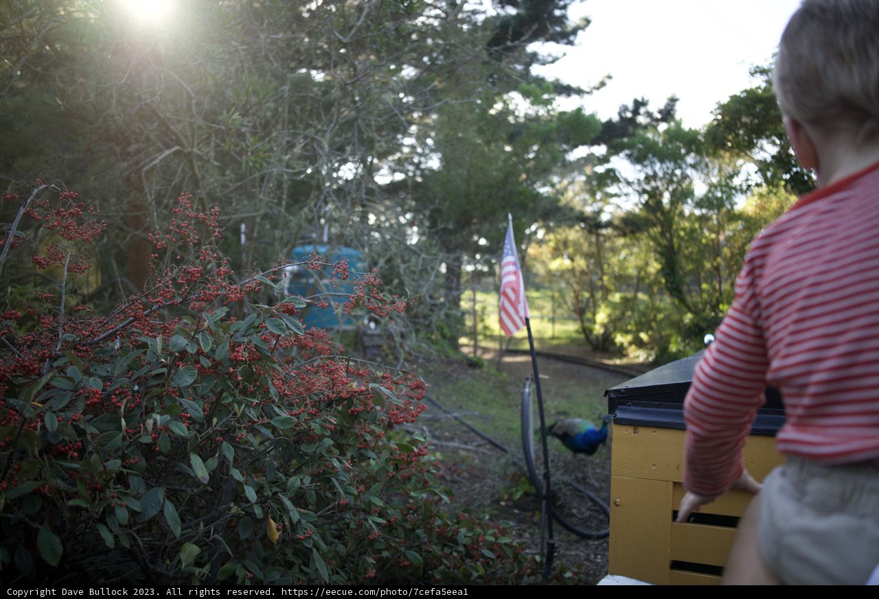 A Day of Discovery: Child and The Yellow Box