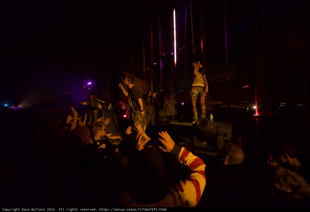 Electric Crowd