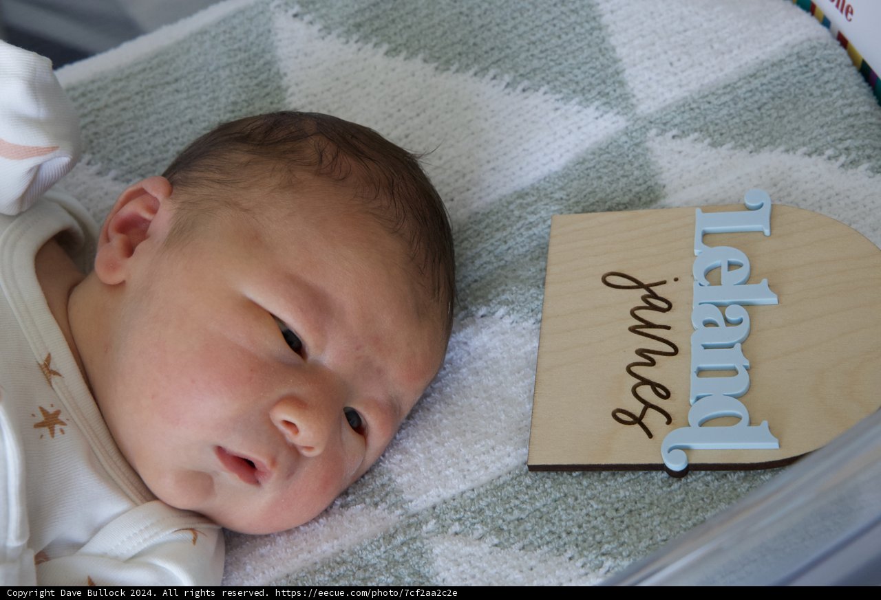 Welcome to the World, Leland James