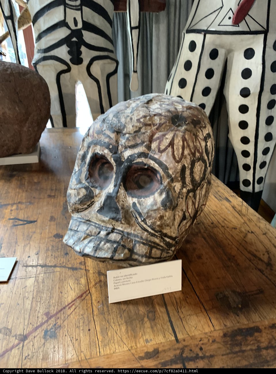 Table of Curiosities