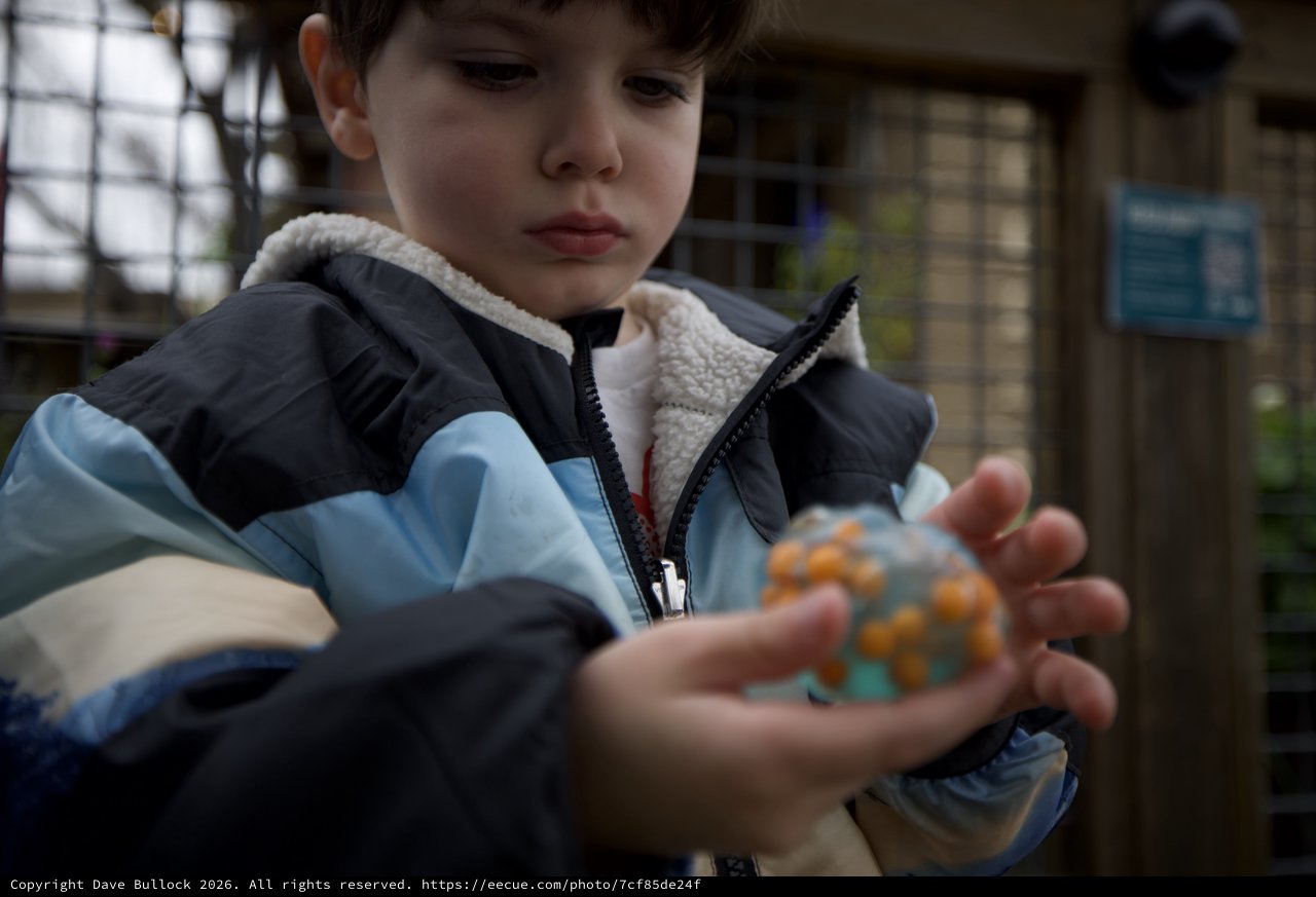 Young Boy Examining Small Toy Dinosaur Outdoors