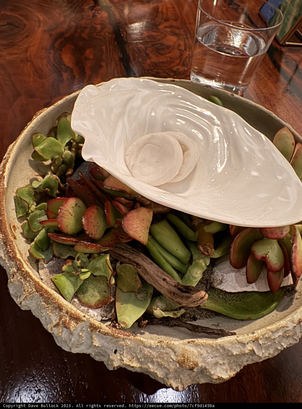 Delectable Cuisine at San Francisco