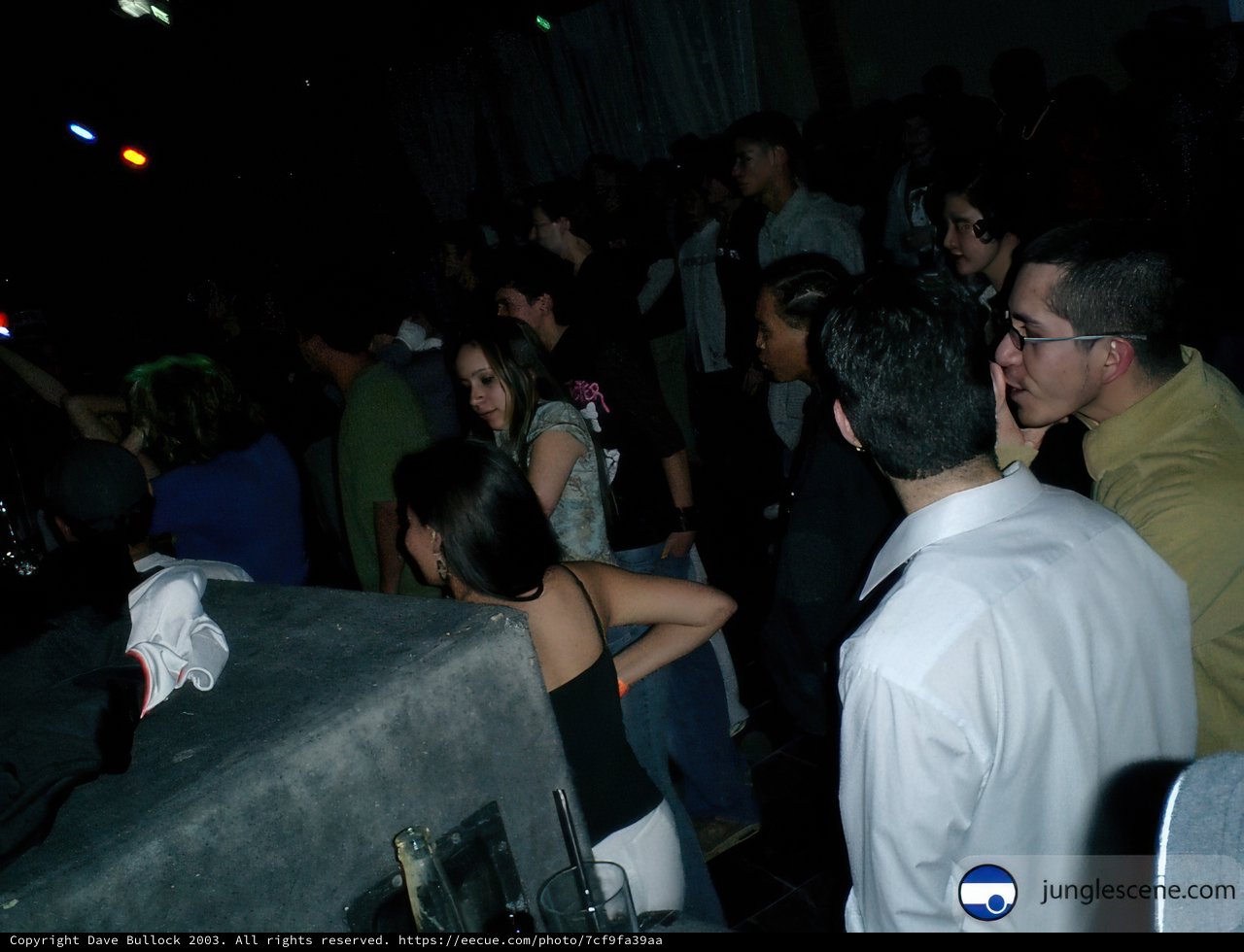 Nightclub Gathering