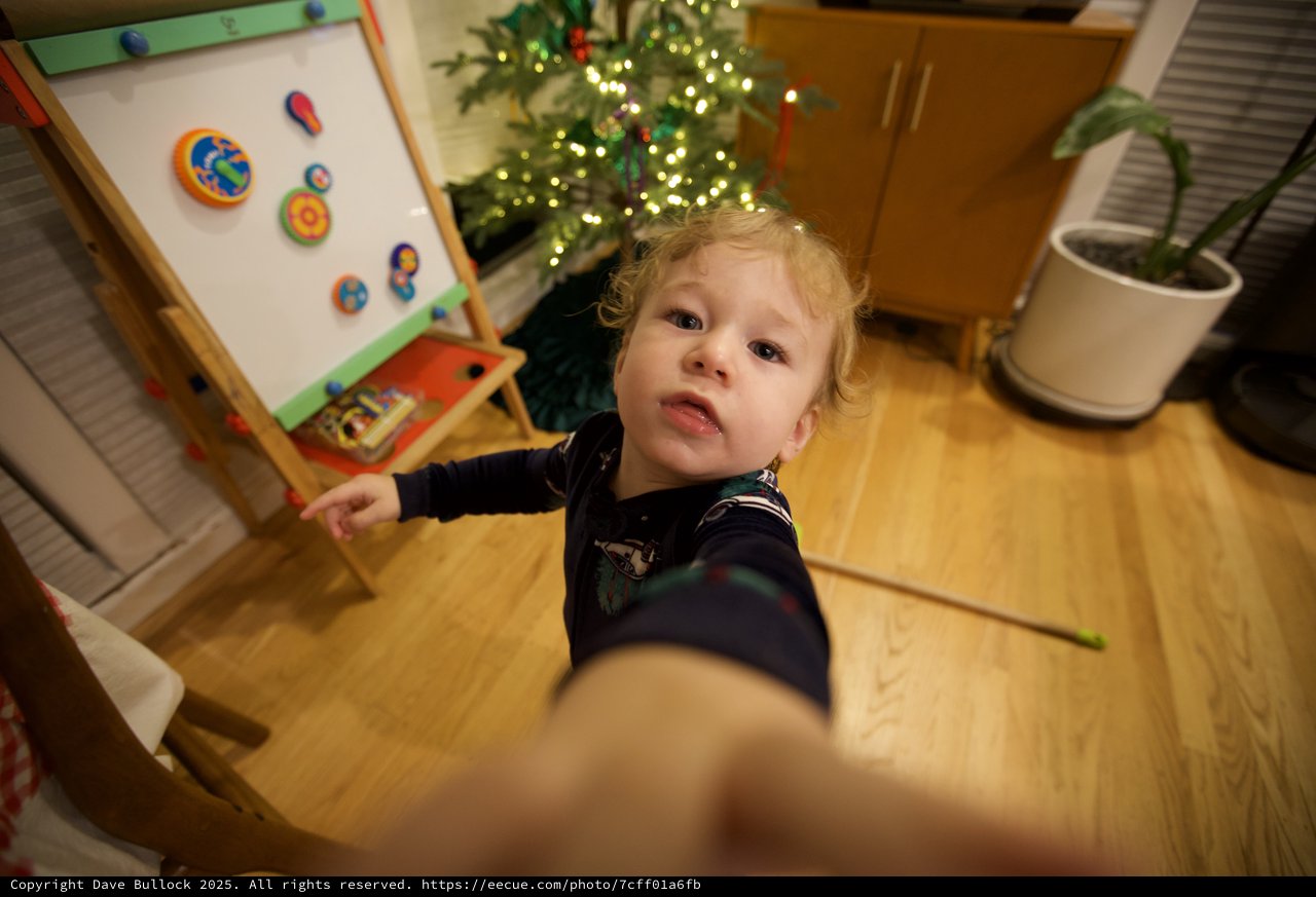 Toddler Reaching Up at Christmas Time