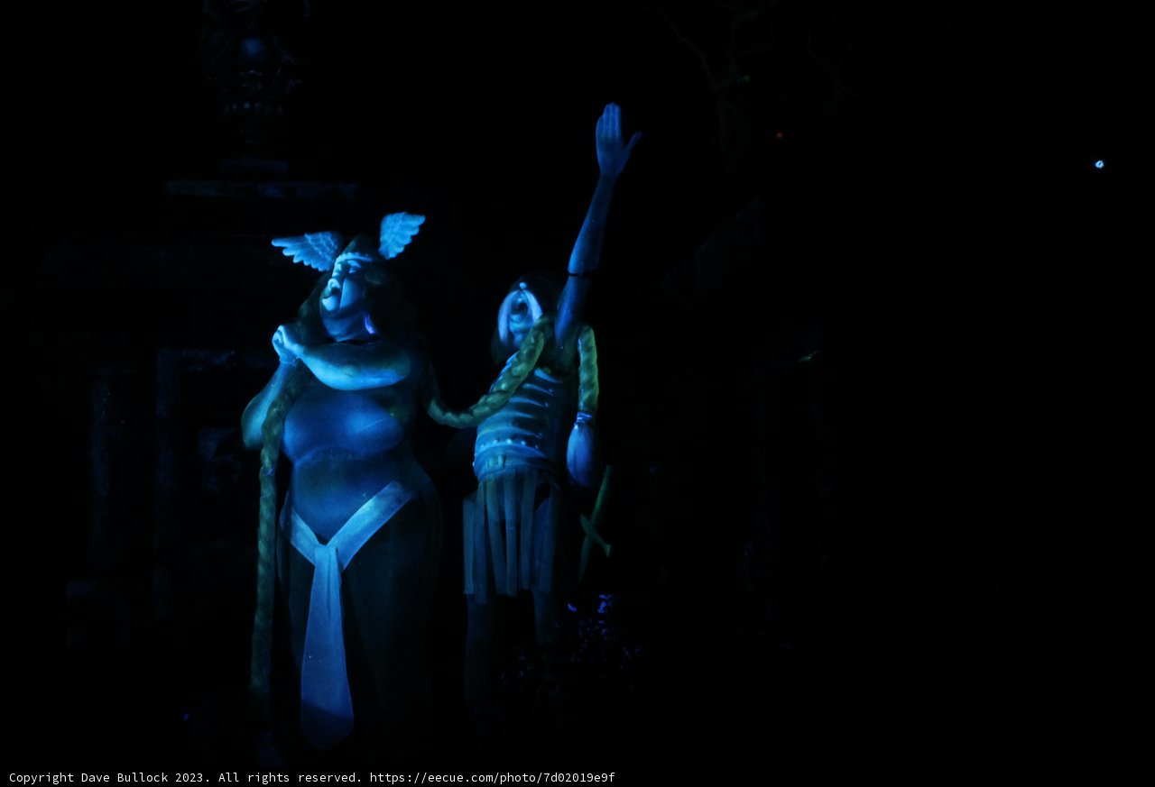 Moonlit Magic at Disneyland's Dark Side