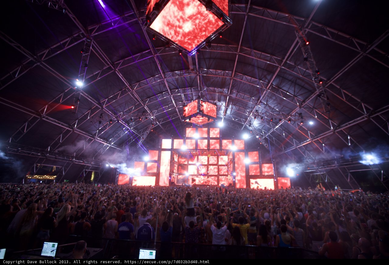 The Electric Crowd at Coachella