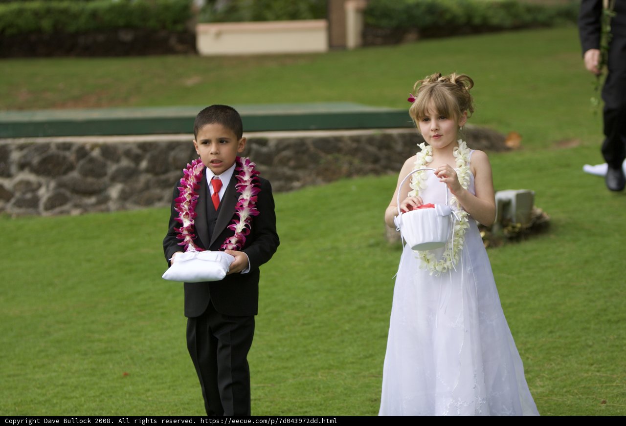Formal Attire on the Wedding Land