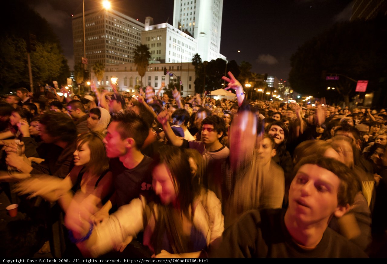 Concert Crowd in the Metropolis