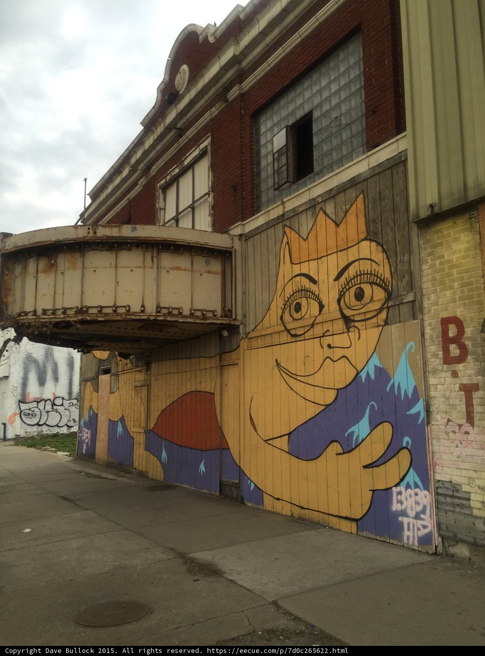 Fierce Feline on the Wall