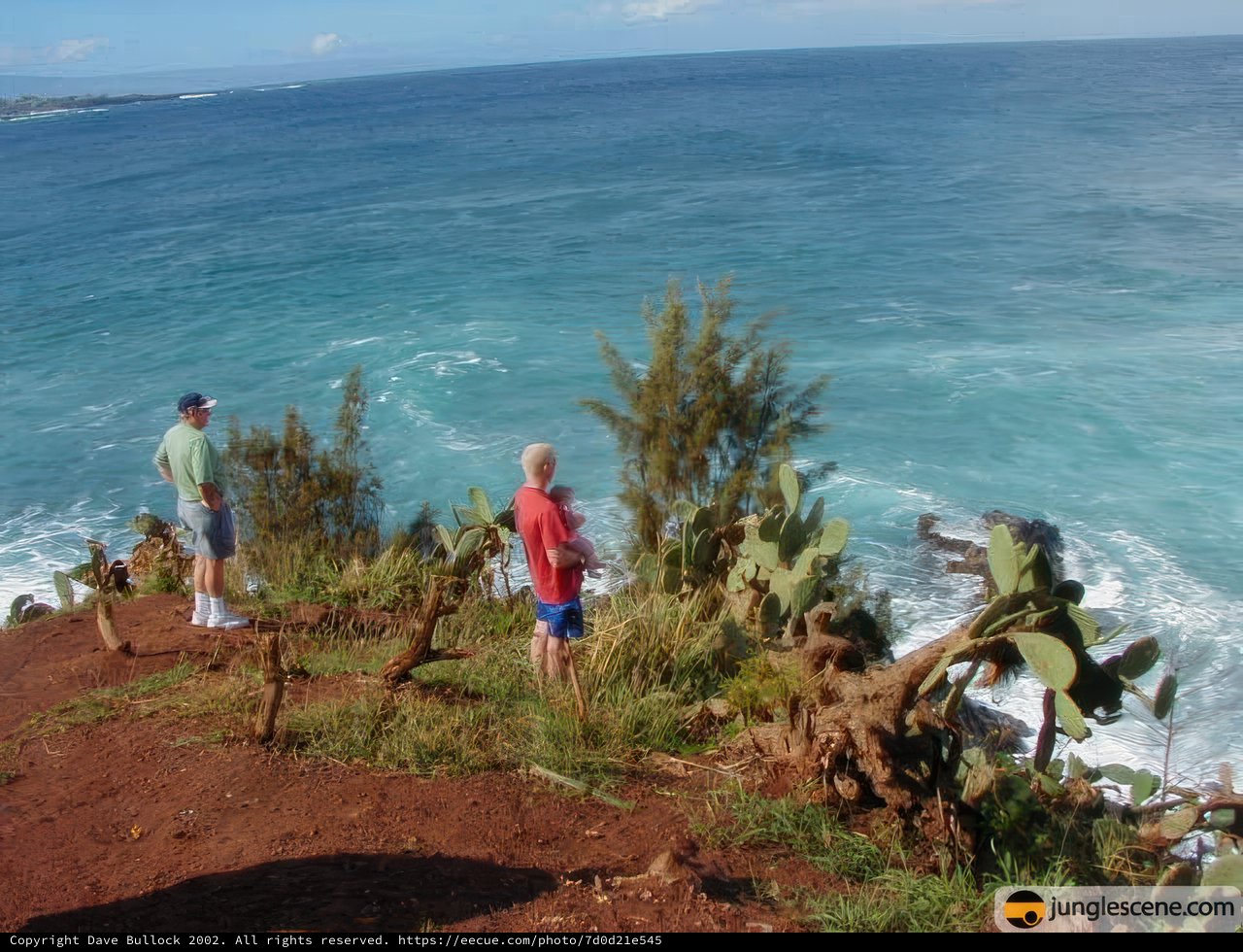 Cliffside view of the Pacific Ocean