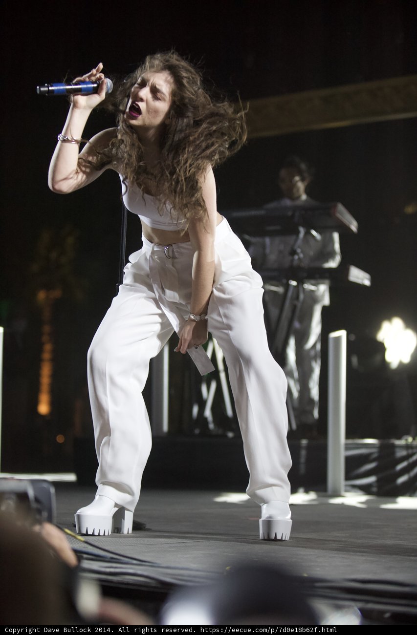 Lorde's Solo Performance