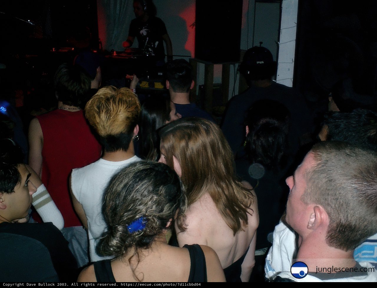 Night Club Fun