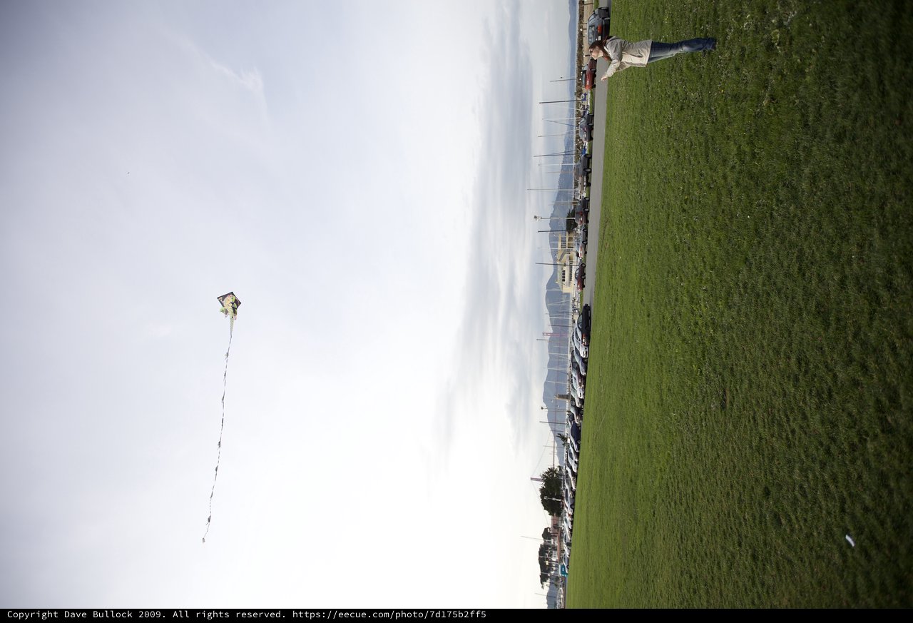 Kite Flying at San Francisco Marina Green